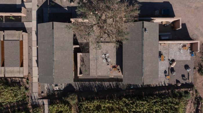 fauna hotel atacama