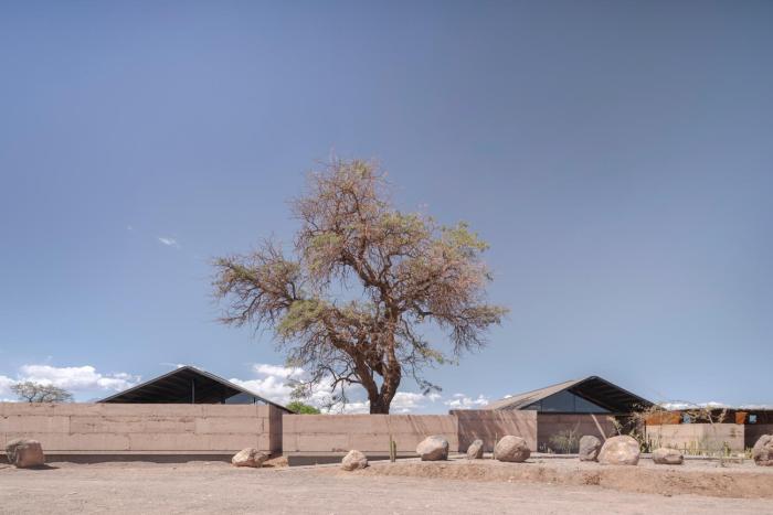 fauna hotel atacama