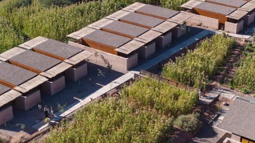 fauna hotel atacama