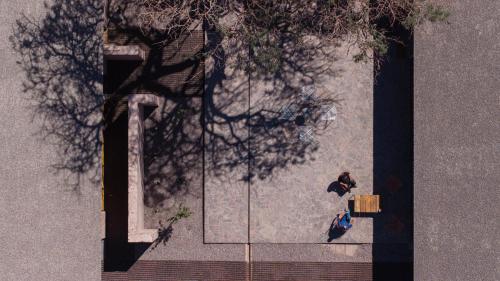 fauna hotel atacama