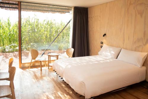 fauna hotel atacama