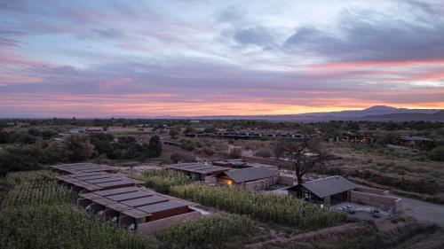 fauna hotel atacama