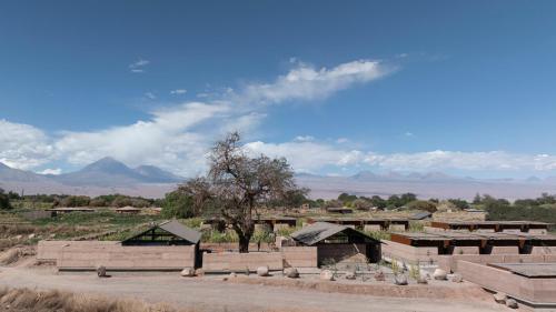 fauna hotel atacama