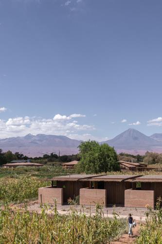 fauna hotel atacama