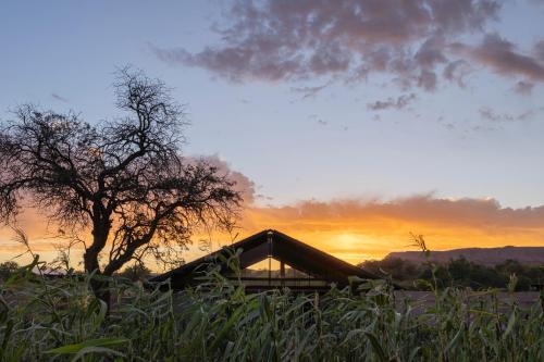 fauna hotel atacama