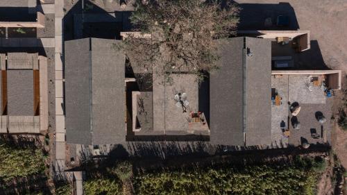 fauna hotel atacama
