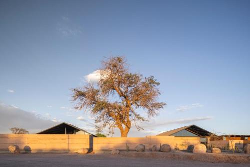 fauna hotel atacama