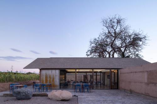 fauna hotel atacama