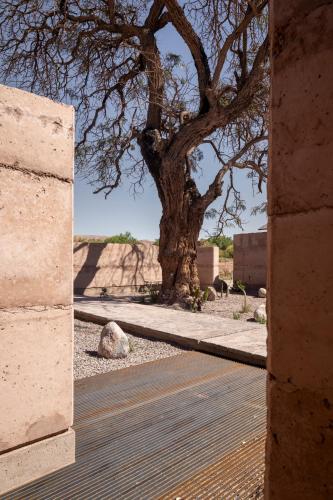 fauna hotel atacama