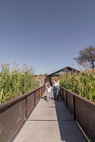 fauna hotel atacama