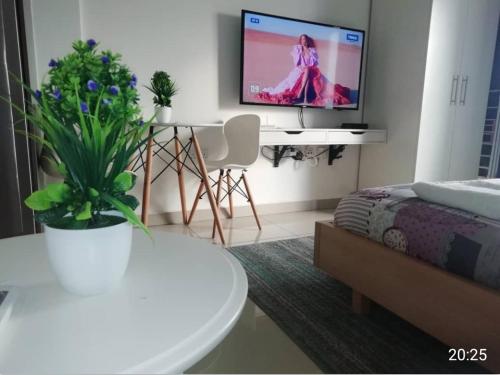 the gallery luxury suites cpg