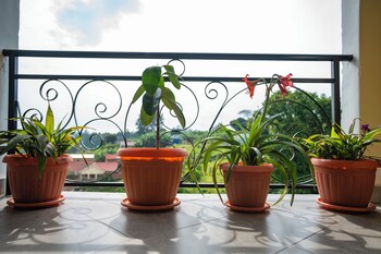 kirungi tourism hotel apartments