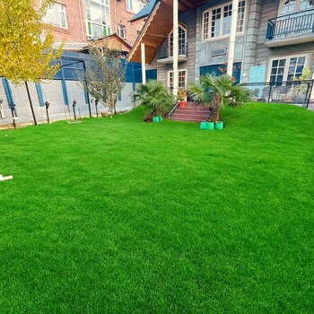 summershade homestay