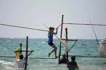 ballena mirissa