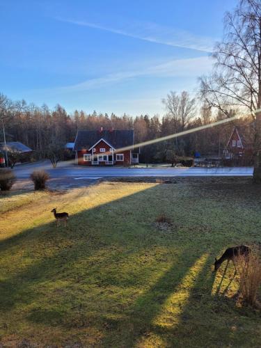 charming 2 bedroom apartment in rejmyre with garden view