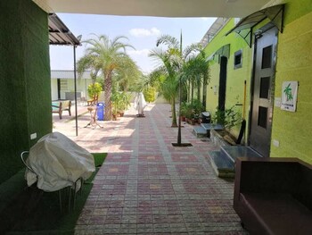 palm farmhouse resort and swimming pool