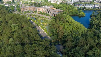 banyan tree mount emei