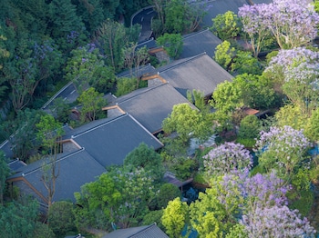banyan tree mount emei