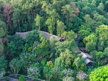 banyan tree mount emei
