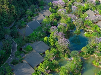 banyan tree mount emei
