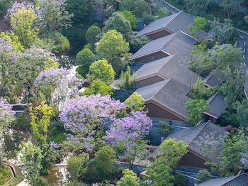 banyan tree mount emei