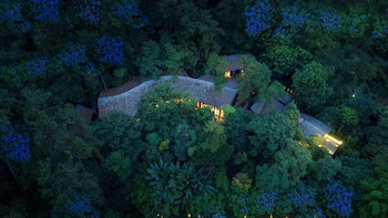 banyan tree mount emei
