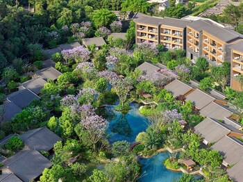 banyan tree mount emei