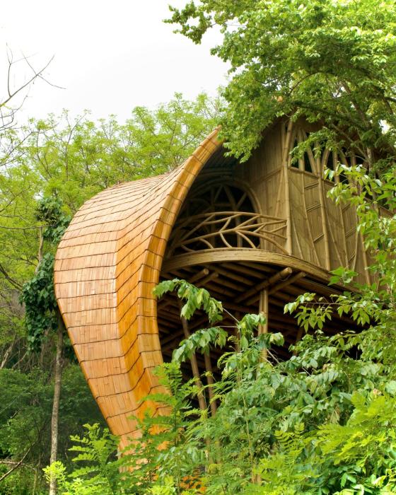 cocoon reserve