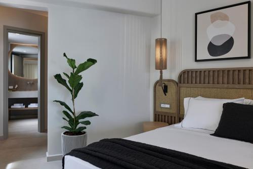 apanemo private suites