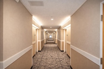 Americas Best Value Inn Raleigh,,3 star