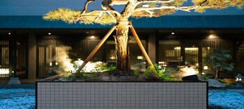 at stay