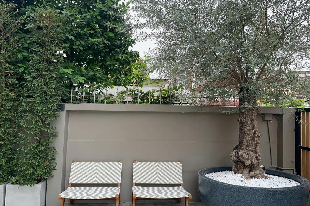 wynora hotel