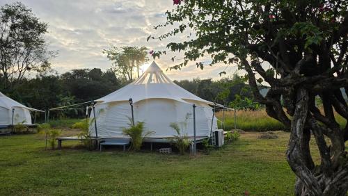 oneseasonfarm chiangsaen