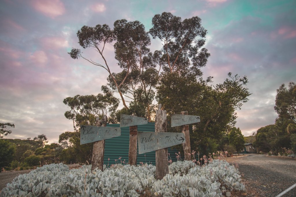 canvs by cabn seppeltsfield barossa