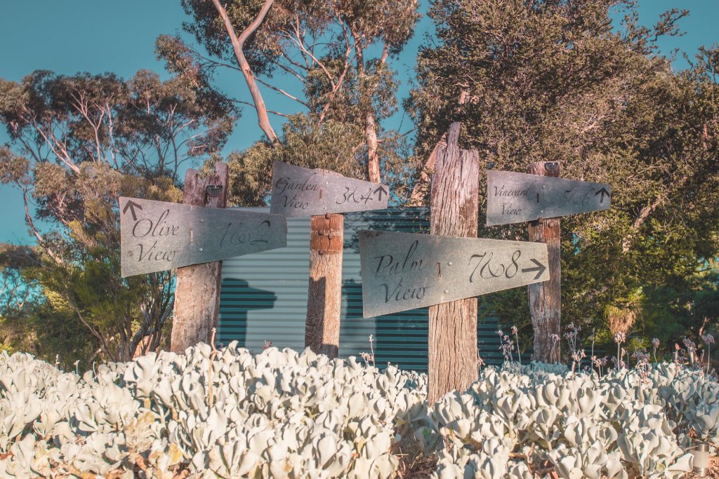 canvs by cabn seppeltsfield barossa