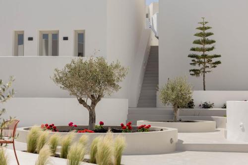 filomare suites