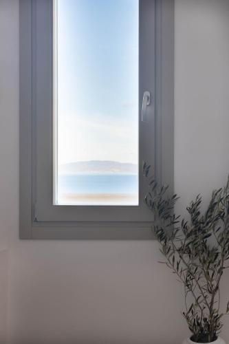 filomare suites