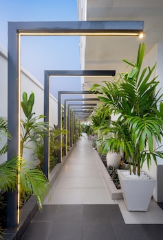 the palms classic hotel