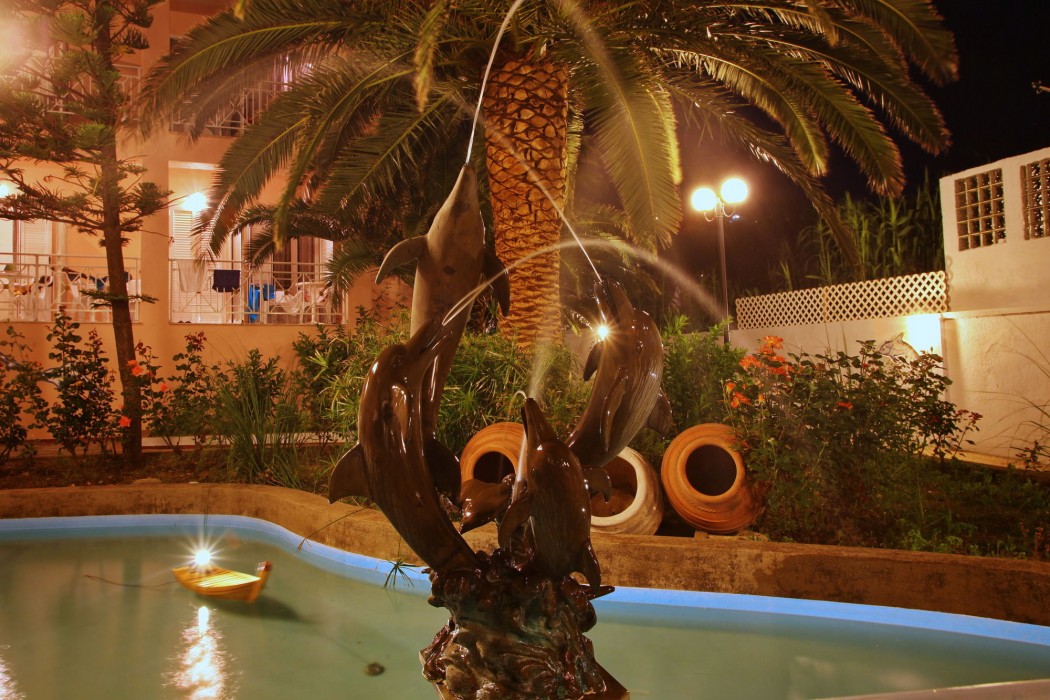 dolphin hotel