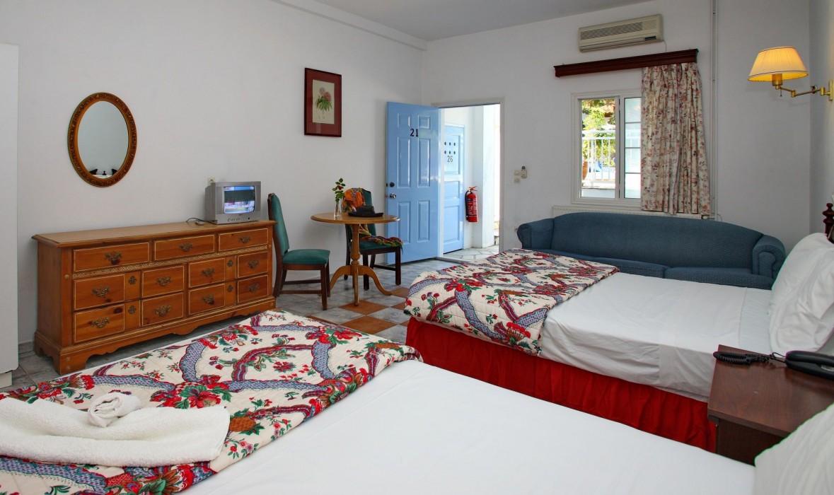 dolphin hotel