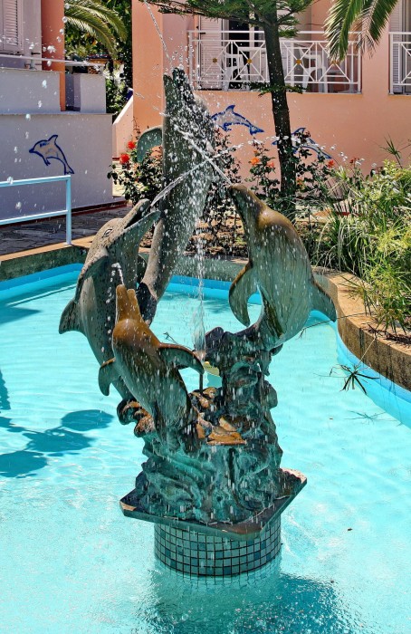 dolphin hotel