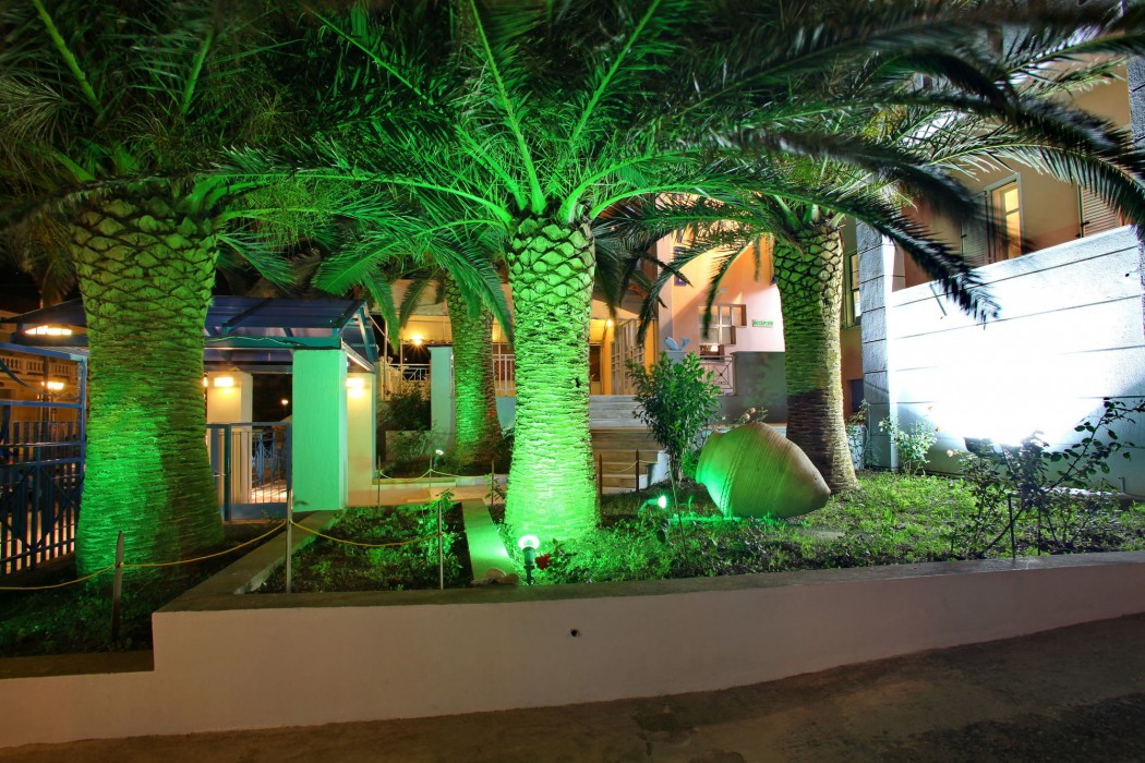 dolphin hotel