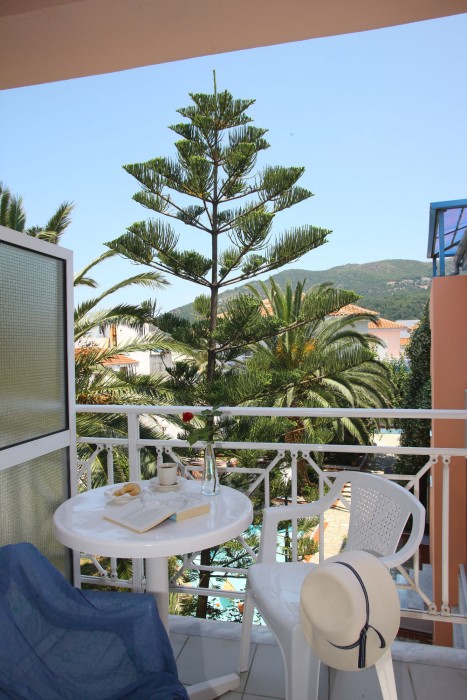 dolphin hotel