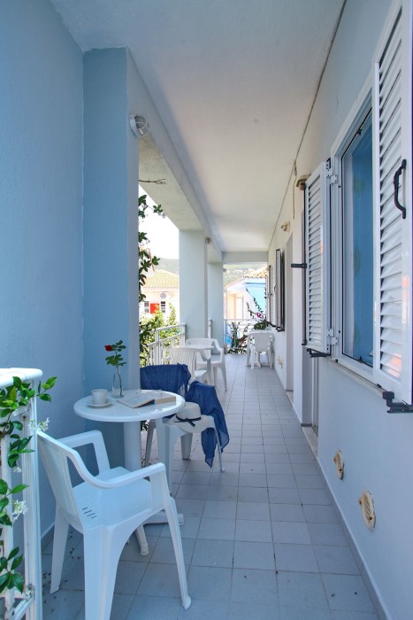dolphin hotel