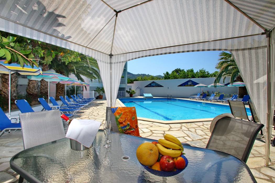dolphin hotel