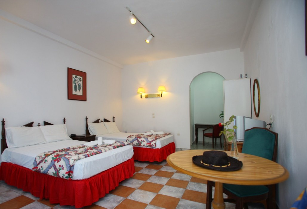 dolphin hotel