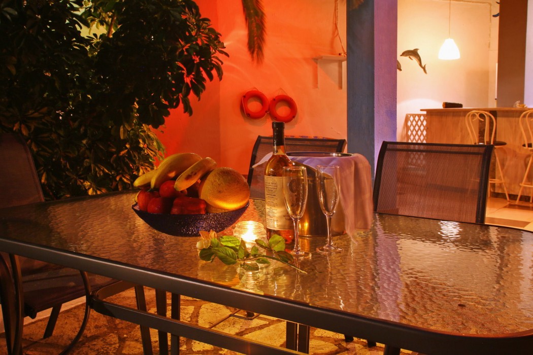 dolphin hotel