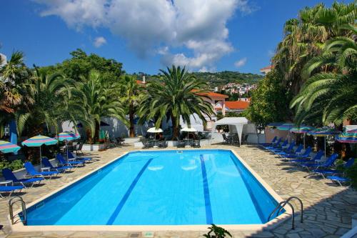 dolphin hotel