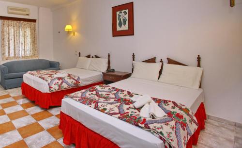 dolphin hotel