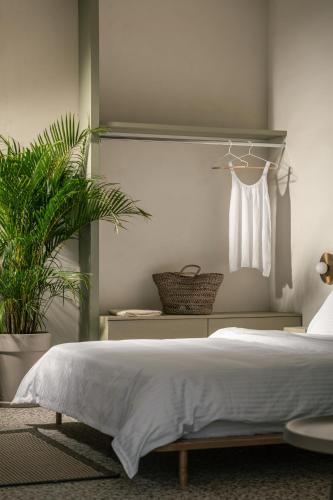 fos luxury suites